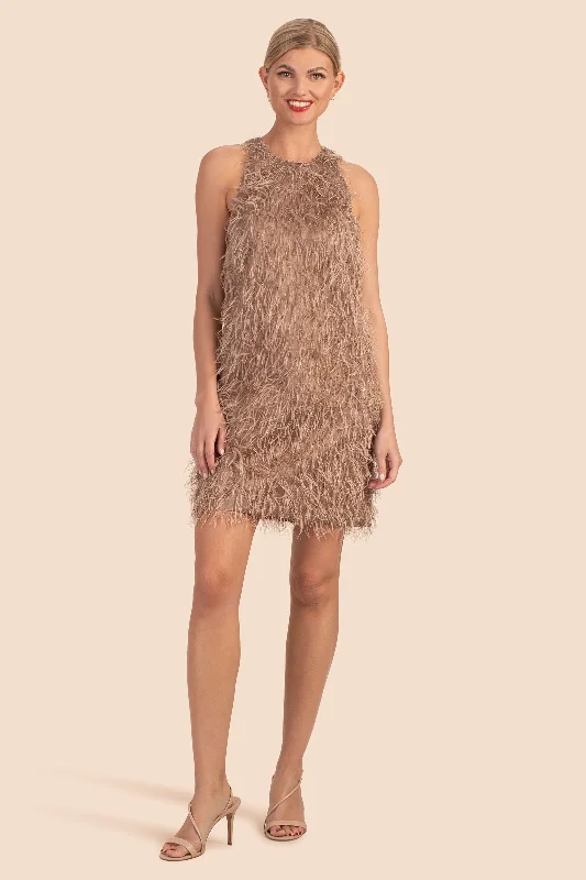 Sheer mini dresses with lace insertsUrsa Major Dress